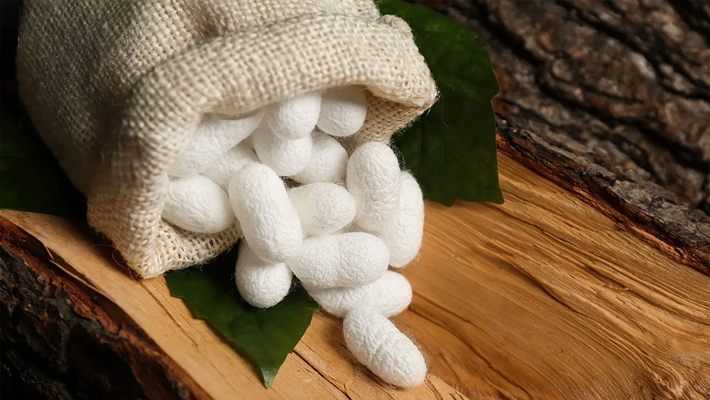 Complete Guide to Mulberry Silk